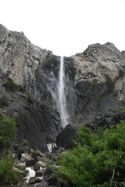 DSC_4612 (Large).JPG